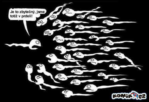 kliknutím fotku zvětšíte