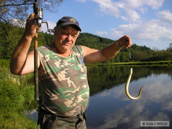 kliknutím fotku zvětšíte