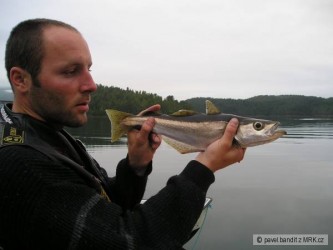 kliknutím fotku zvětšíte