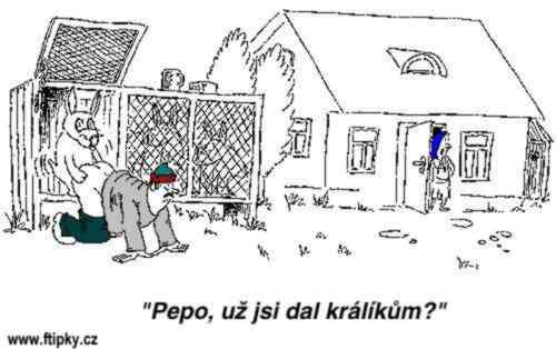 kliknutím fotku zvětšíte