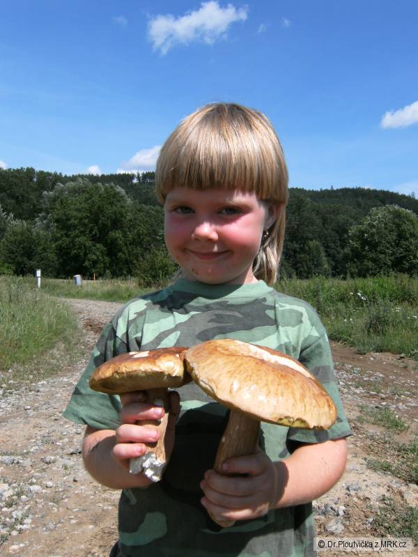 kliknutím fotku zvětšíte