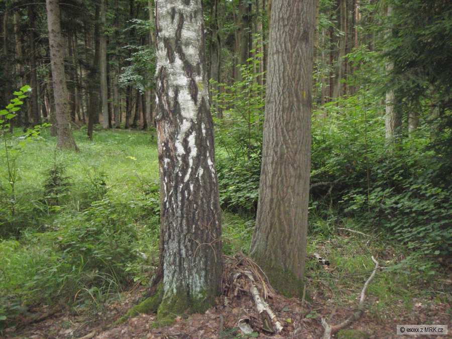 kliknutím fotku zvětšíte