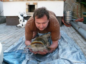 kliknutím fotku zvětšíte