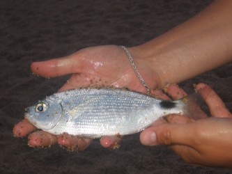 kliknutím fotku zvětšíte