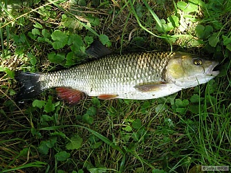 kliknutím fotku zvětšíte