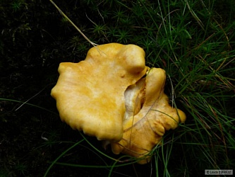 kliknutím fotku zvětšíte