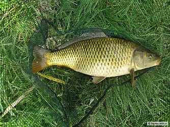 kliknutím fotku zvětšíte