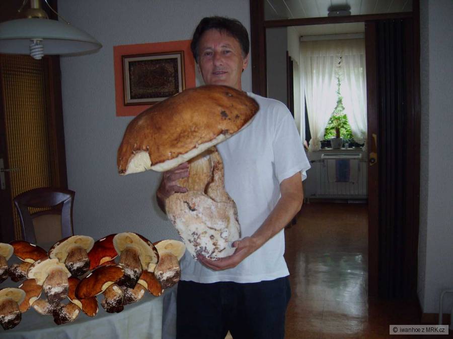 kliknutím fotku zvětšíte