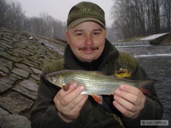 kliknutím fotku zvětšíte