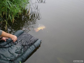 kliknutím fotku zvětšíte