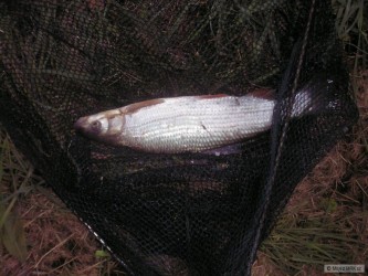 kliknutím fotku zvětšíte