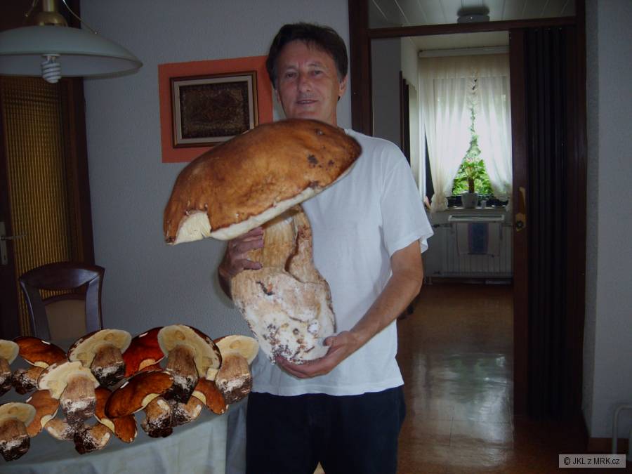 kliknutím fotku zvětšíte