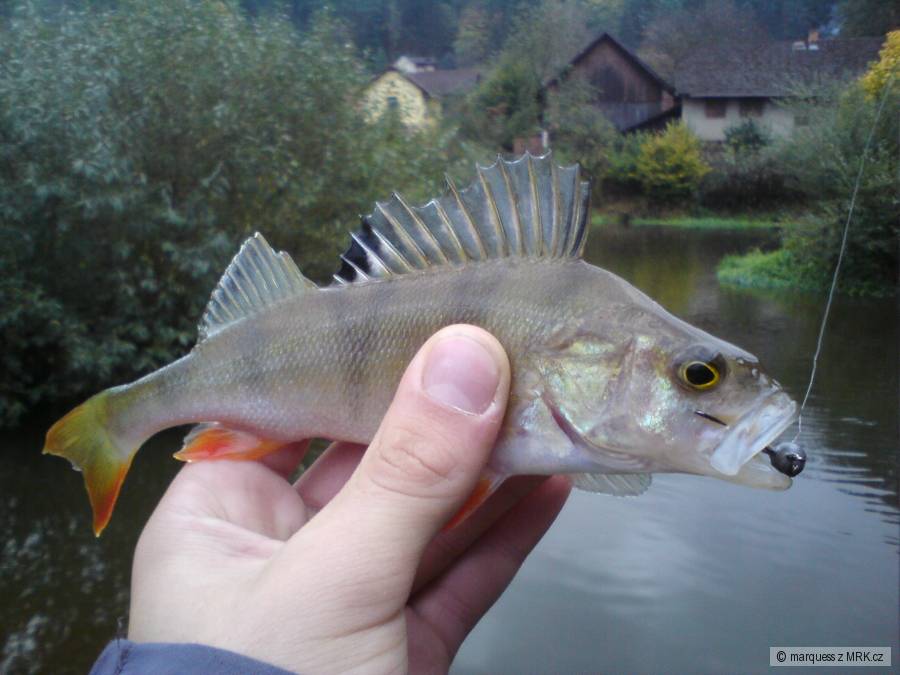 kliknutím fotku zvětšíte