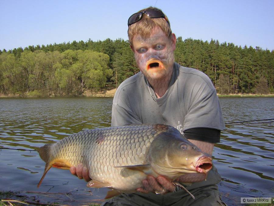 kliknutím fotku zvětšíte