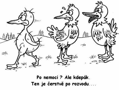 kliknutím fotku zvětšíte