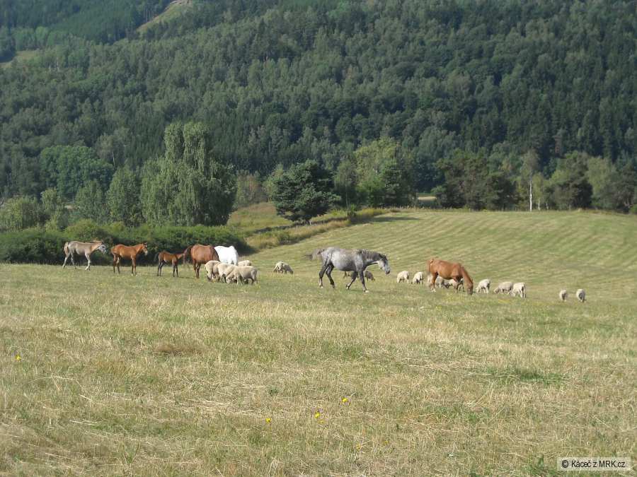 kliknutím fotku zvětšíte