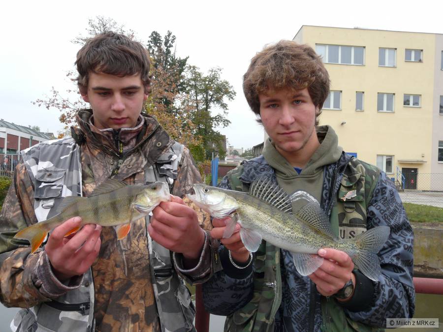 kliknutím fotku zvětšíte
