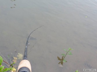 kliknutím fotku zvětšíte