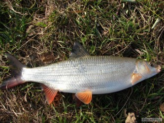 kliknutím fotku zvětšíte