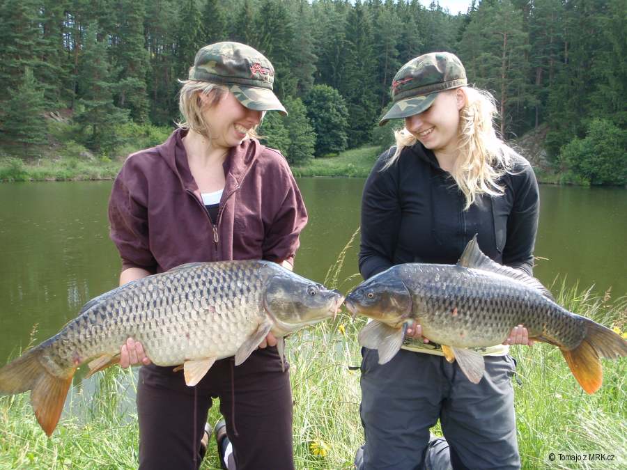 kliknutím fotku zvětšíte