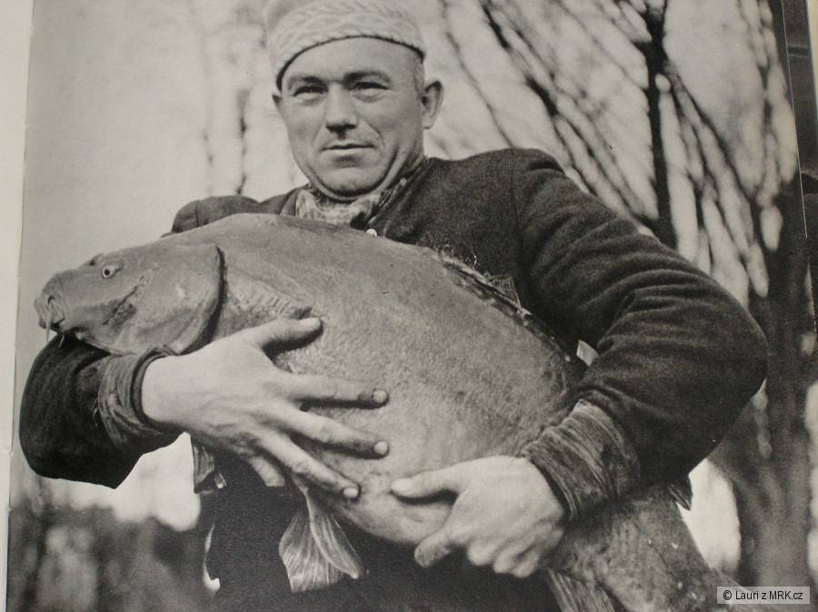 kliknutím fotku zvětšíte