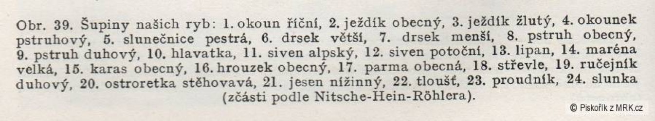 kliknutím fotku zvětšíte