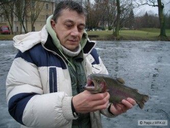 kliknutím fotku zvětšíte