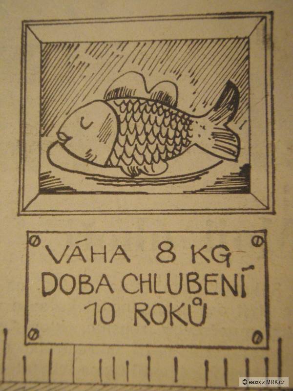 kliknutím fotku zvětšíte
