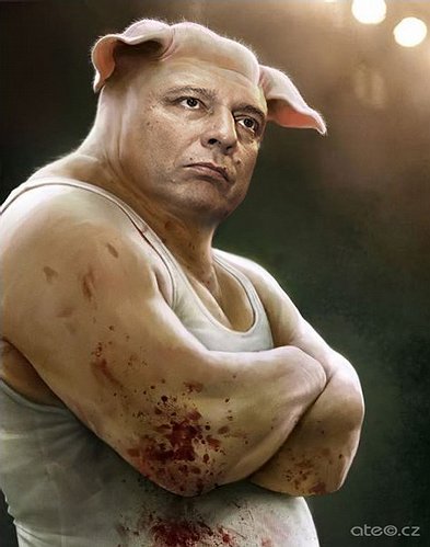 kliknutím fotku zvětšíte