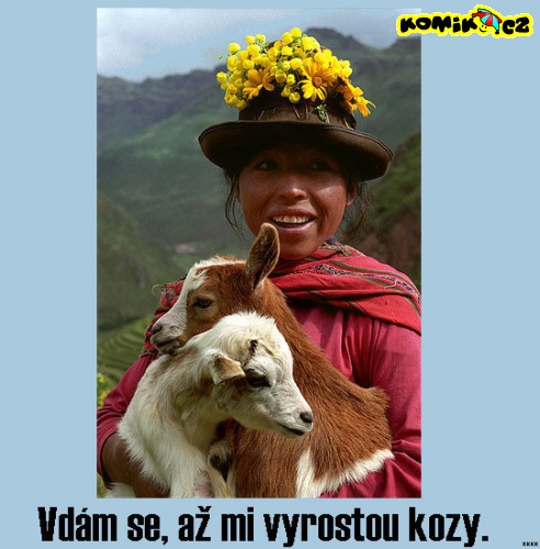 kliknutím fotku zvětšíte