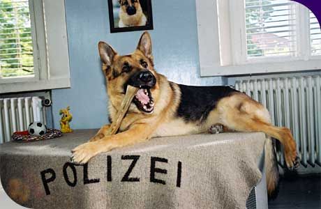 kliknutím fotku zvětšíte