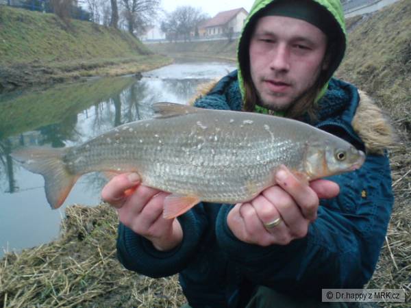kliknutím fotku zvětšíte