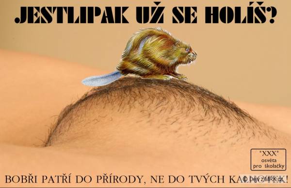 kliknutím fotku zvětšíte