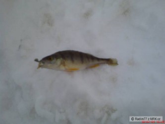 kliknutím fotku zvětšíte