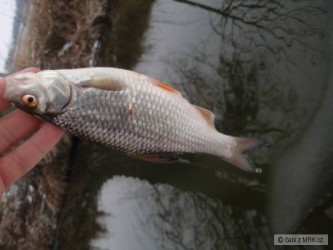 kliknutím fotku zvětšíte