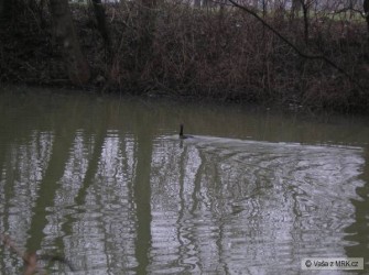 kliknutím fotku zvětšíte