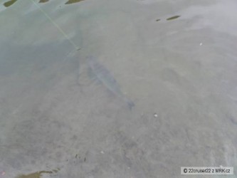 kliknutím fotku zvětšíte