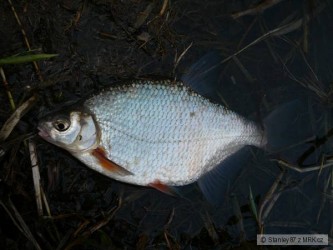 kliknutím fotku zvětšíte