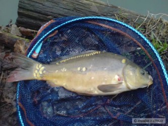 kliknutím fotku zvětšíte