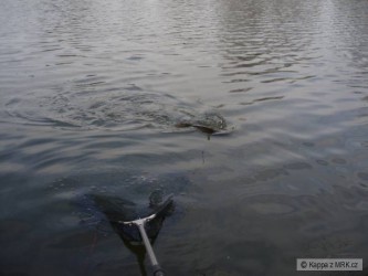 kliknutím fotku zvětšíte