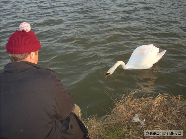 kliknutím fotku zvětšíte