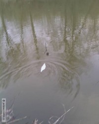 kliknutím fotku zvětšíte