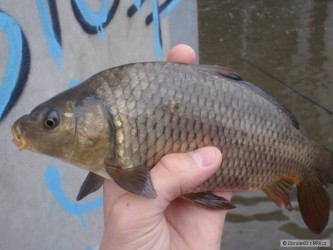 kliknutím fotku zvětšíte