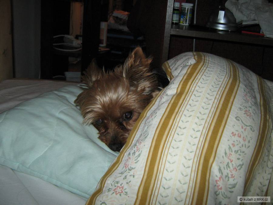 kliknutím fotku zvětšíte