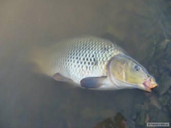 kliknutím fotku zvětšíte