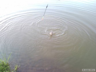 kliknutím fotku zvětšíte