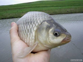 kliknutím fotku zvětšíte