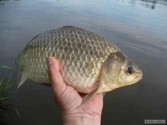 kliknutím fotku zvětšíte