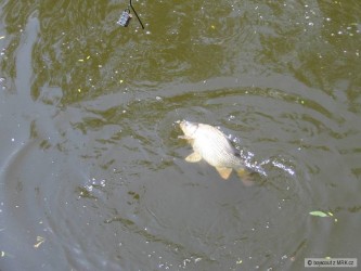 kliknutím fotku zvětšíte