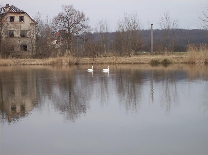 kliknutím fotku zvětšíte